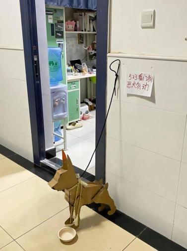 武汉美术生做纸狗看门走红：图纸随手画的，没想到很多人要-第1张-宠物相关-宝佳网