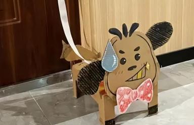 “纸盒狗”风靡中国高校，或与经常封校有关，宿管老师看不下去了-第3张-宠物相关-宝佳网