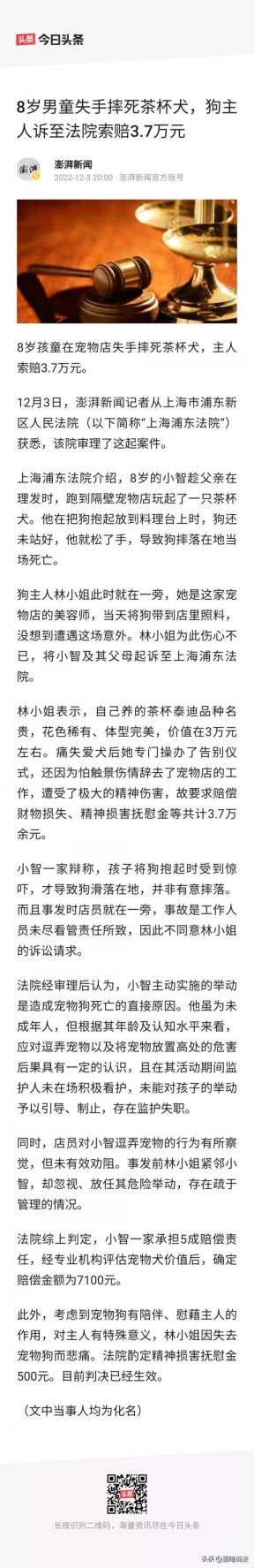 上海8岁男童误将茶杯犬摔死，主人索赔3.7万遭拒：自己没看好怪谁-第8张-宠物相关-宝佳网