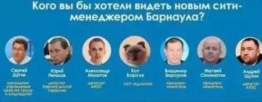 俄罗斯的猫，到底有多愣逼？-第17张-宠物相关-宝佳网