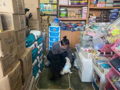 降温一周一家宠物店卖出了上百条小毯子，杭州年轻人为什么爱上了给宠物点外卖-第4张-宠物相关-宝佳网