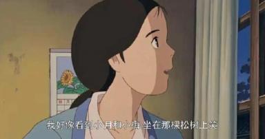 宫崎骏的电影《龙猫》，原型竟是一个16岁少女失踪凶杀案？-第33张-宠物相关-宝佳网
