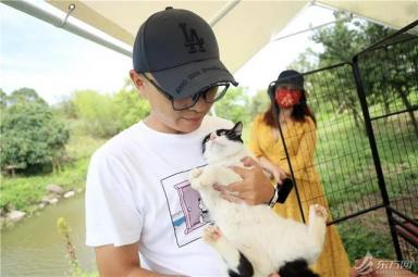 TA们有家了！上海首个流浪猫管理中心成立，退役警犬开放领养-第2张-宠物相关-宝佳网