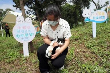 TA们有家了！上海首个流浪猫管理中心成立，退役警犬开放领养-第3张-宠物相关-宝佳网