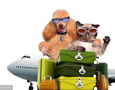 宠物托运，不止是准备航空箱那么简单，宠物托运费用你会计算吗？-第2张-宠物相关-宝佳网