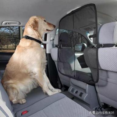带宠物坐车被罚，司机都蒙圈了，老司机告诉你到底应该坐哪-第3张-宠物相关-宝佳网