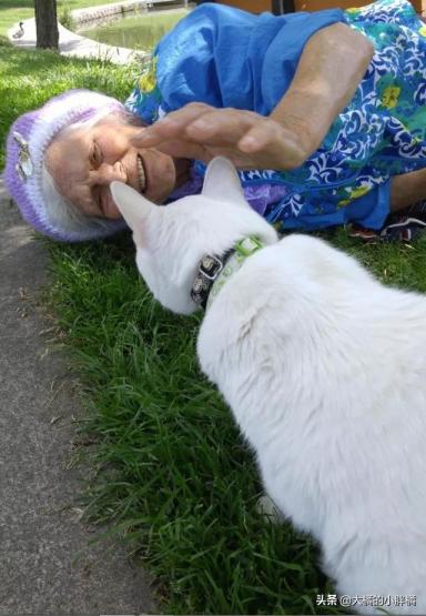 暖心！17岁老猫“开导”失去爱猫的奶奶，奶奶展现出了久违的笑容-第5张-宠物相关-宝佳网