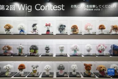 东京举行国际宠物用品博览会-第3张-宠物相关-宝佳网
