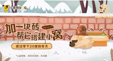 小黄狗环保科技北京救助站正式揭牌 为近200只流浪猫狗安新家-第2张-宠物相关-宝佳网