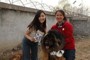 小黄狗环保科技北京救助站正式揭牌 为近200只流浪猫狗安新家-第1张-宠物相关-宝佳网