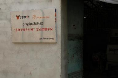 小黄狗环保科技北京救助站正式揭牌 为近200只流浪猫狗安新家-第5张-宠物相关-宝佳网
