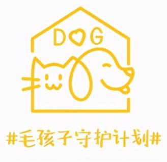小黄狗环保科技北京救助站正式揭牌 为近200只流浪猫狗安新家-第8张-宠物相关-宝佳网