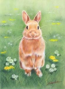 卡通壁纸：可爱呆萌的兔子-第10张-宠物相关-宝佳网