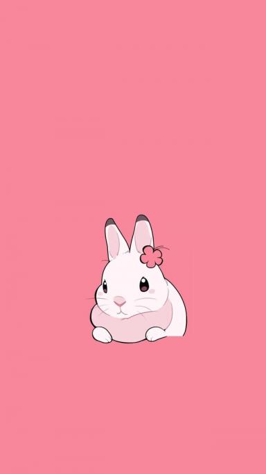卡通壁纸：可爱呆萌的兔子-第65张-宠物相关-宝佳网