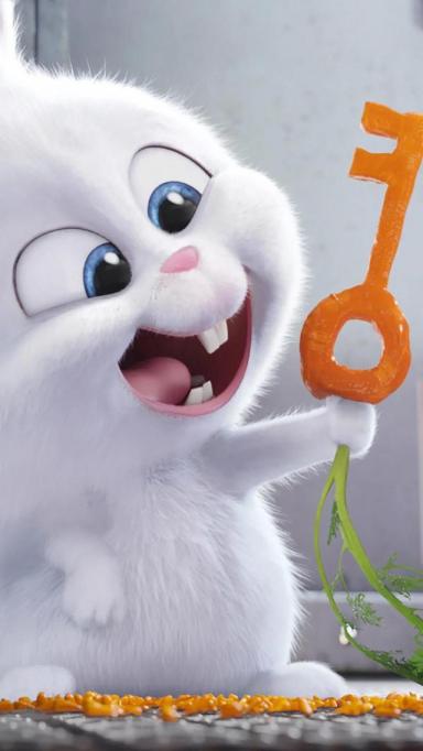 卡通壁纸：可爱呆萌的兔子-第64张-宠物相关-宝佳网