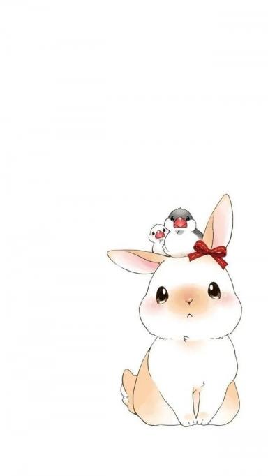 卡通壁纸：可爱呆萌的兔子-第75张-宠物相关-宝佳网