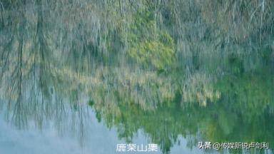 春天到来之前，走进安康市宁陕县城关镇渔湾好好生活指南-第25张-宠物相关-宝佳网