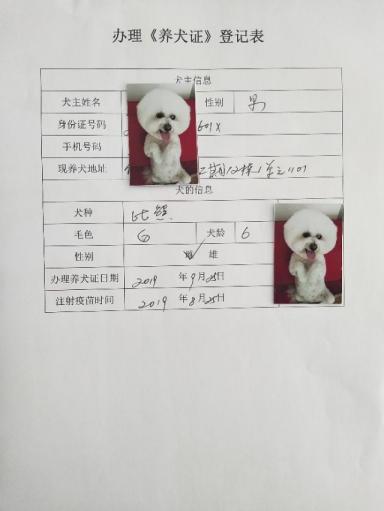 长春社区给宠物办证的程序长这样，小狗也是有身份证的-第8张-宠物相关-宝佳网