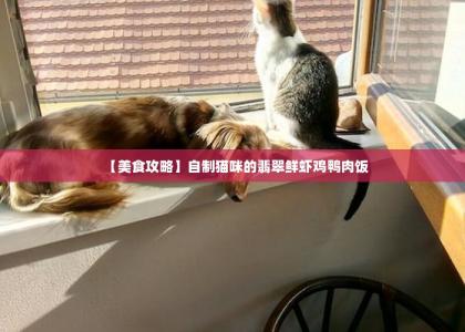 【美食攻略】自制猫咪的翡翠鲜虾鸡鸭肉饭 -第1张-猫咪饲养-宝佳网