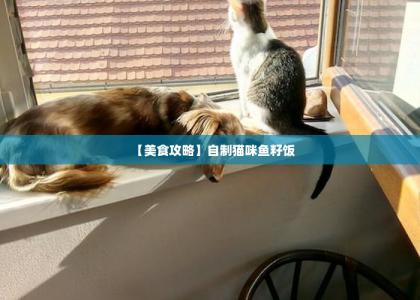 【美食攻略】自制猫咪鱼籽饭 -第1张-猫咪饲养-宝佳网