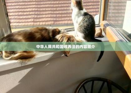 中华人民共和国收养法的内容简介-第1张-宠物相关-宝佳网