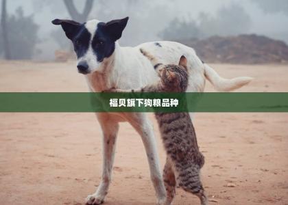 福贝旗下狗粮品种 -第1张-狗狗饲养护理-宝佳网