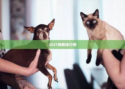 2021狗粮排行榜 -第1张-狗狗饲养护理-宝佳网