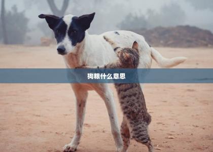 狗粮什么意思 -第1张-狗狗饲养护理-宝佳网