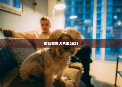 南昌禁养犬名单2021 -第1张-狗狗饲养护理-宝佳网