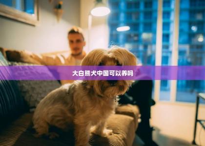 大白熊犬中国可以养吗 -第1张-狗狗饲养护理-宝佳网