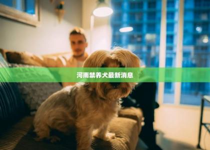 河南禁养犬最新消息 -第1张-狗狗饲养护理-宝佳网
