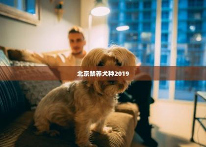 北京禁养犬种2019 -第1张-狗狗饲养护理-宝佳网
