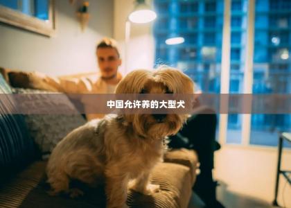 中国允许养的大型犬