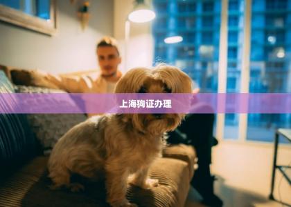 上海狗证办理 -第1张-狗狗医疗-宝佳网