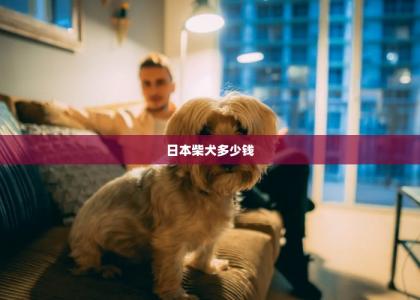 日本柴犬多少钱 -第1张-狗狗医疗-宝佳网