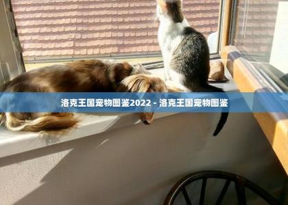 洛克王国宠物图鉴2022 - 洛克王国宠物图鉴 -第1张-买狗百科-宝佳网