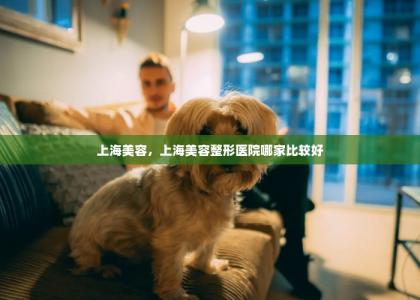 上海美容，上海美容整形医院哪家比较好-第1张-狗狗相关-宝佳网