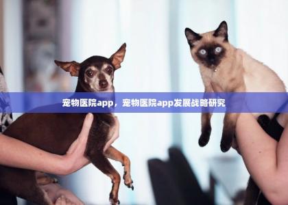 宠物医院app，宠物医院app发展战略研究-第1张-狗狗相关-宝佳网