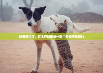 临安宠物店，有木有知道杭州哪个宠物店靠谱的-第1张-狗狗相关-宝佳网