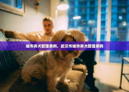 城市养犬管理条例，武汉市城市养犬管理条例-第1张-狗狗相关-宝佳网