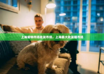 上海宠物市场批发市场，上海最大批发猫市场-第1张-狗狗相关-宝佳网