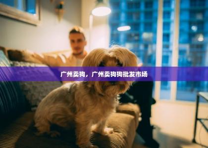 广州卖狗，广州卖狗狗批发市场-第1张-狗狗相关-宝佳网