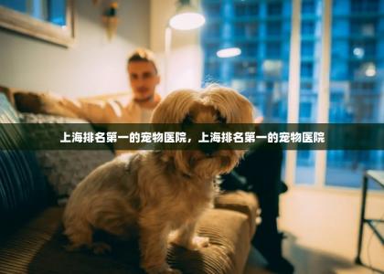 上海排名第一的宠物医院，上海排名第一的宠物医院-第1张-狗狗相关-宝佳网