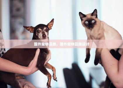 国外宠物品牌，国外宠物品牌设计-第1张-狗狗相关-宝佳网
