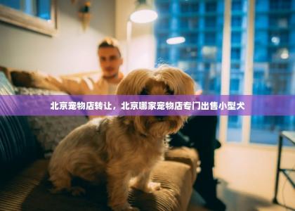 北京宠物店转让，北京哪家宠物店专门出售小型犬-第1张-狗狗相关-宝佳网
