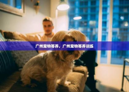 广州宠物寄养，广州宠物寄养训练-第1张-狗狗相关-宝佳网