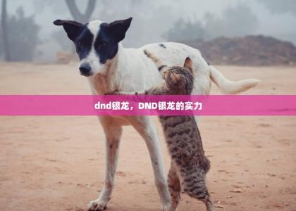 dnd银龙，DND银龙的实力-第1张-狗狗相关-宝佳网