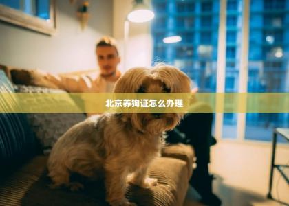 北京养狗证怎么办理 -第1张-狗狗百科-宝佳网