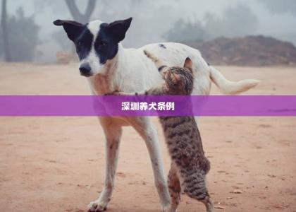 深圳养犬条例 -第1张-狗狗百科-宝佳网