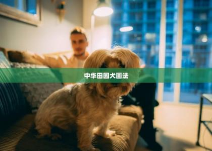 中华田园犬画法 -第1张-狗狗百科-宝佳网